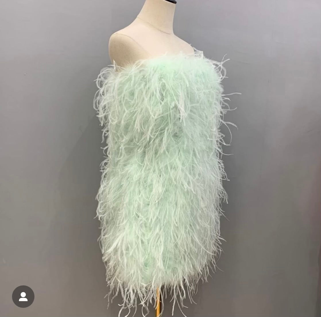 Birds Of  A Feather Mini Dress